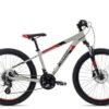 Axess STIPE PRO 24 2022