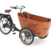 Babboe Carve-E 7K HD 375