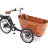Babboe Flow-E HD 450