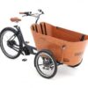 Babboe Flow Mountain ENV HD 500