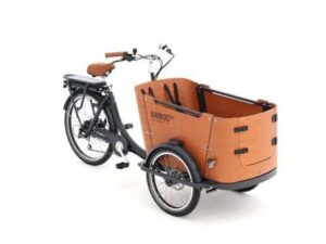 Babboe Go-E HD 500