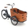 Babboe Go Mountain ENV HD 400