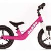 Bachtenkirch Go Bike LR