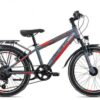 Ciclista Adventure 20