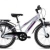 Ciclista Adventure 3 20 Trapez