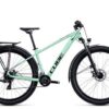 Cube Access WS Allroad 2022