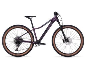 Cube Access WS SLX 2023
