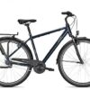 Raleigh CHESTER 7 R 2022
