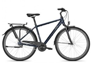 Raleigh CHESTER 7 R 2022