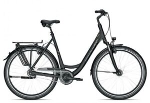 Raleigh CHESTER 8 XXL R Wave 2022