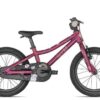 Scott Contessa 16 2022