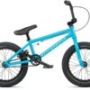 wethepeople Seed 16 2022